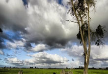 塔迪奇離隊 貝爾溫將任阿賈克斯新隊長！.