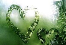 牛八体育：高诗岩17+9山东险胜新疆 齐麟17分李炎哲15分.