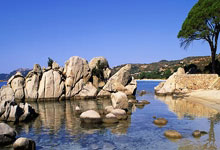 2023卡塔爾亞洲杯：國足0-1卡塔爾！小組出線前景黯淡！.